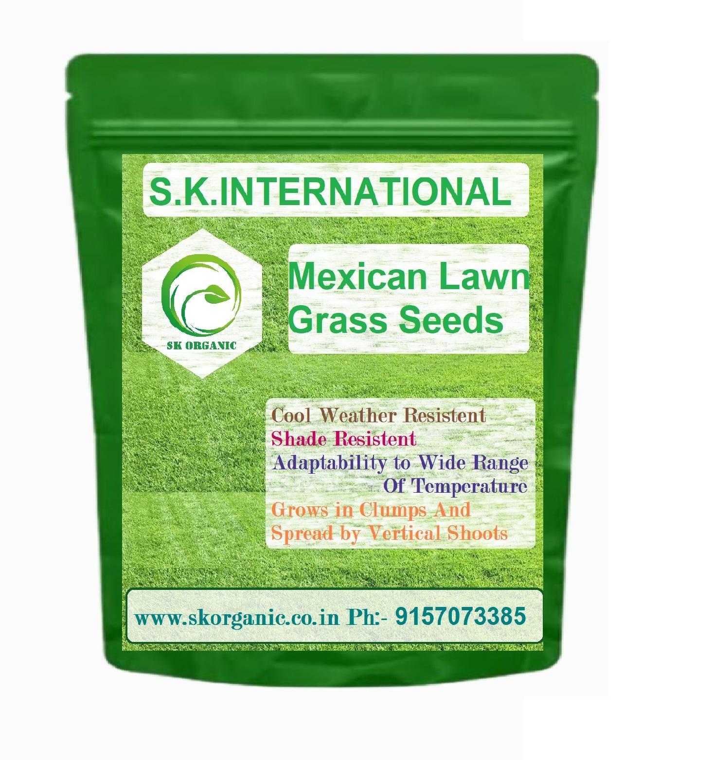 Mexican Lawn Grass Seeds for Home Lawns, Gardens, Farm house, Cold,Drought & Shade Tolerant, Easy Germination