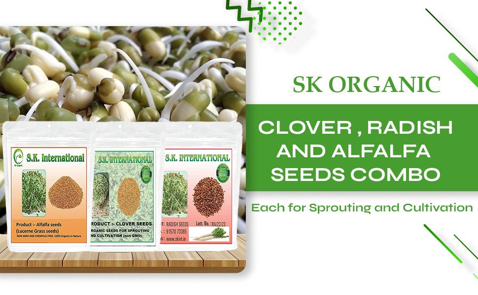 SK ORGANIC Clover , Radish and Alfalfa Seeds combo of 250 gms each for Sprouting and Cultivation
