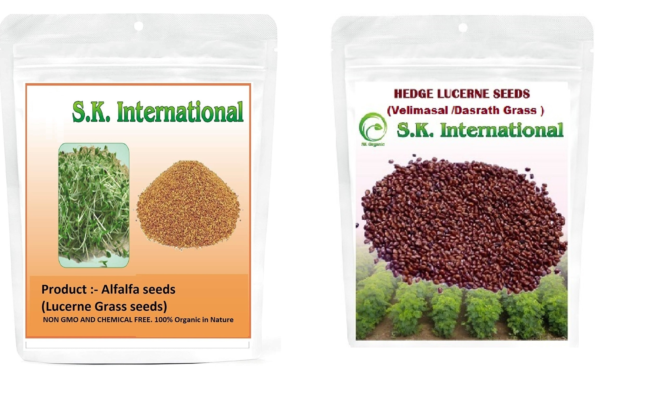SK ORGANIC Alfalfa Lucerne seeds and Hedge Lucerne seeds (Velimasal/Dasrath) for cattle fodder