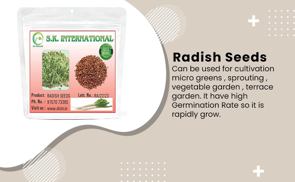 SK ORGANIC Radish Seeds ( Muli ) 100% Organic for Cultivation and sprouting 