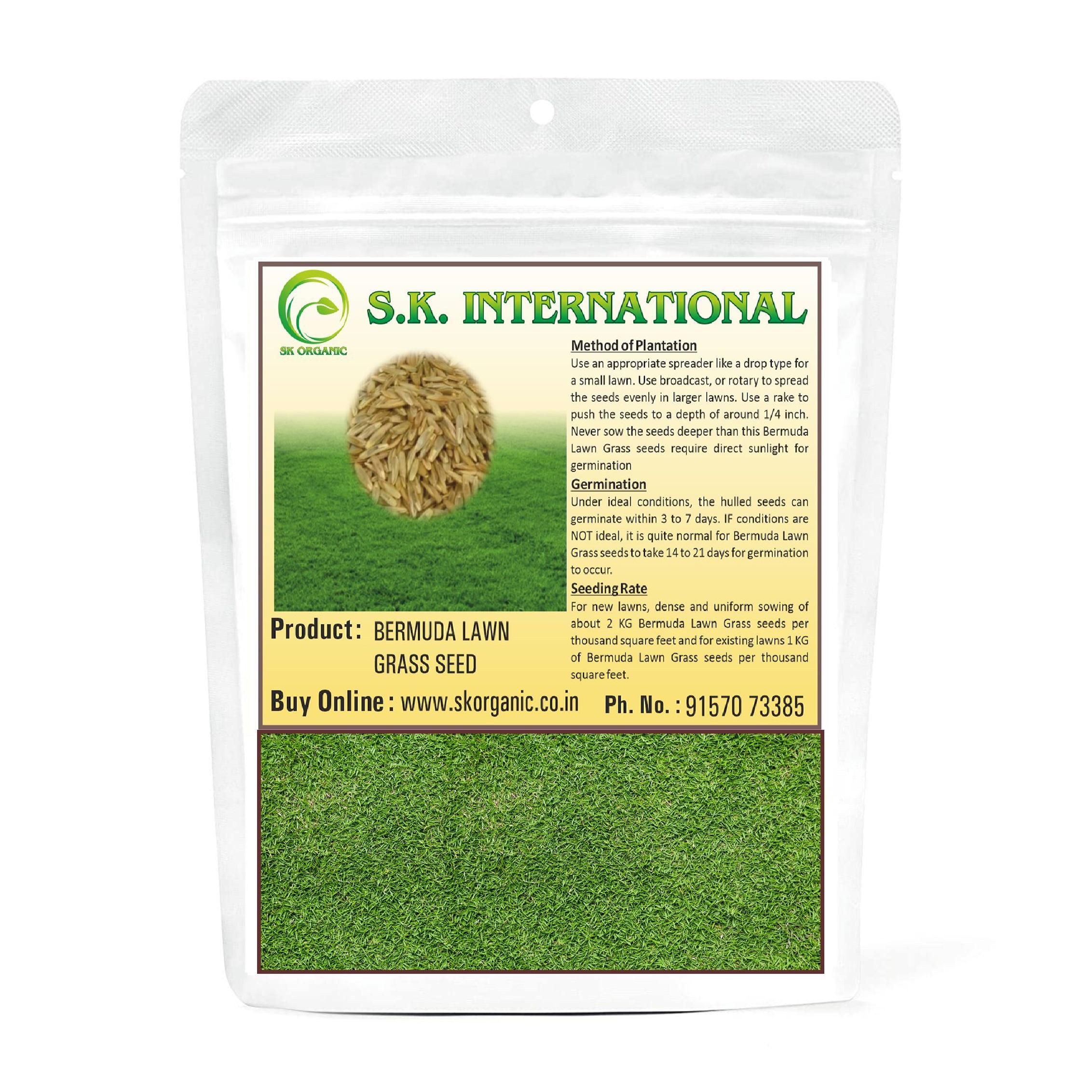 SK Organic Bermuda Lawn Grass seeds for Garden and Farmhouse