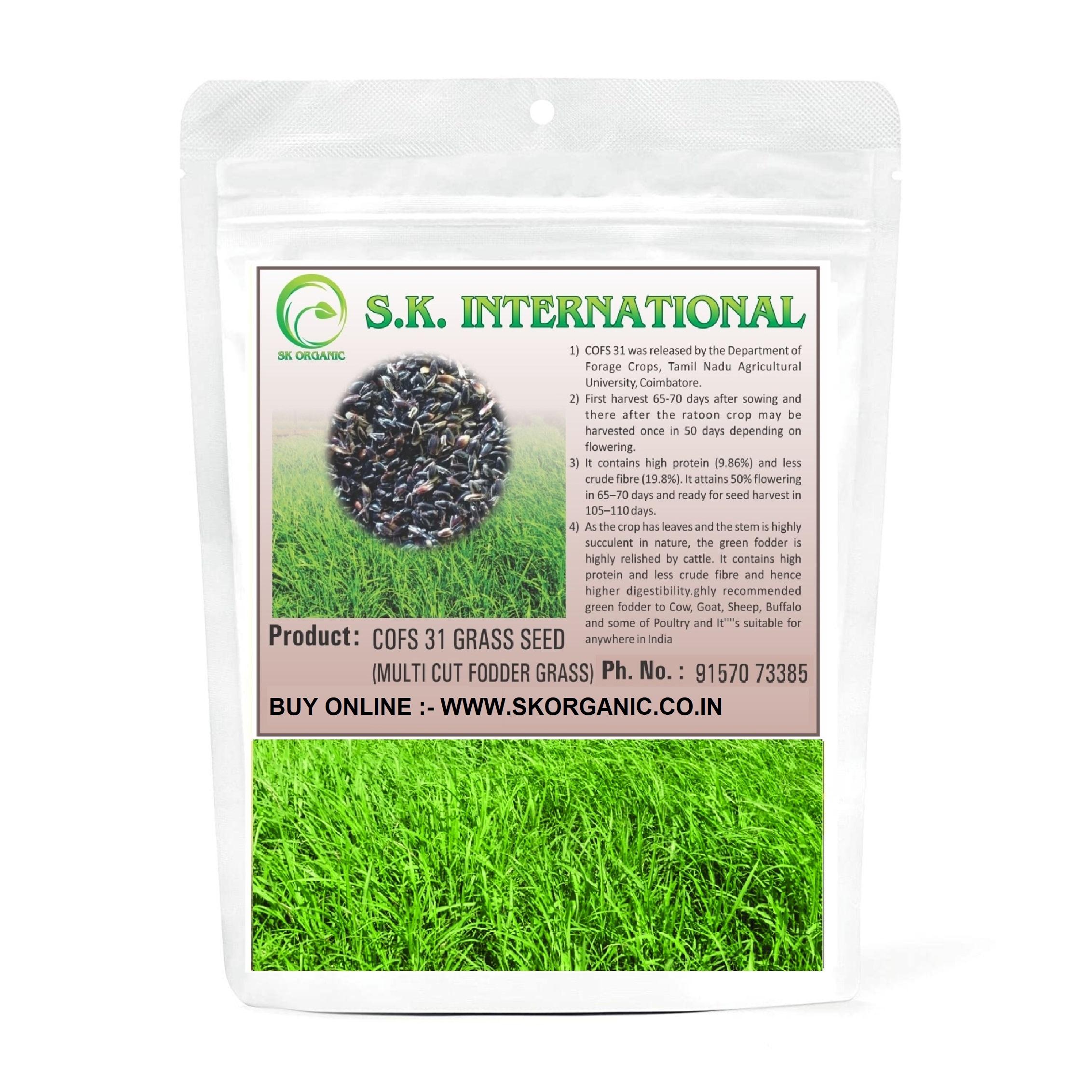 SK ORGANIC COFS 31 Multicut Grass Seeds for cow buffalo goat cattle fodder 3 years variety
