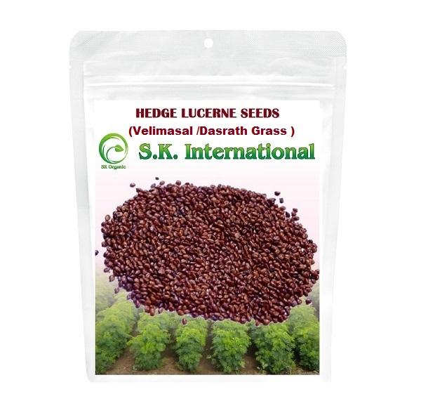 SK ORGANIC by HEDGE LUCERNE SEEDS (Velimasal Grass Seeds/Dasrath Grass Seeds) 
