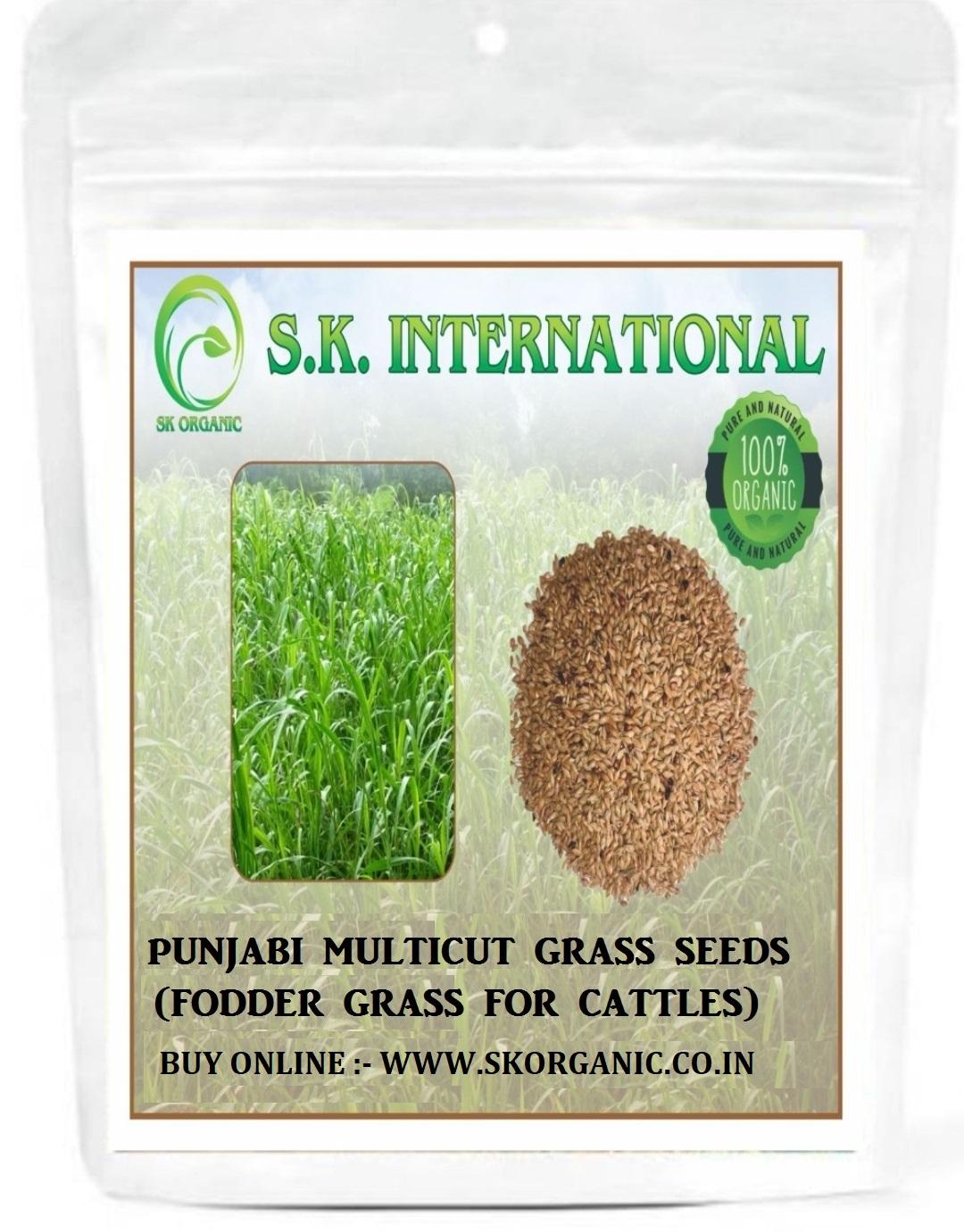 SK ORGANIC Punjabi Multicut Grass Seeds for cattle feed fodder thumbnail