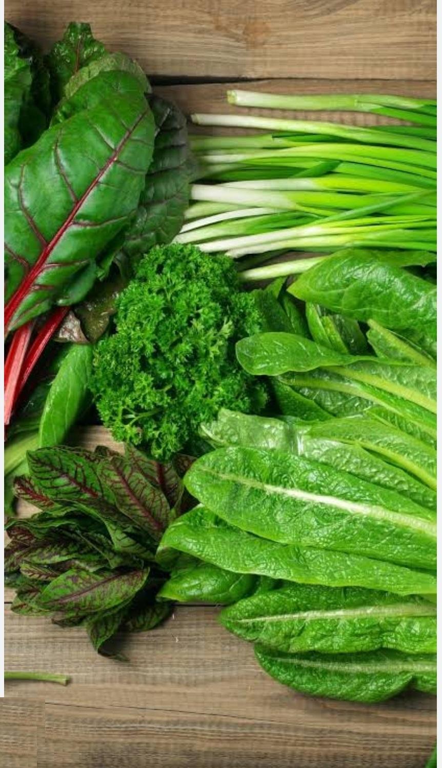 Leafy Vegetable Seeds Combo Pack, 13 Varieties for Kitchen Garden