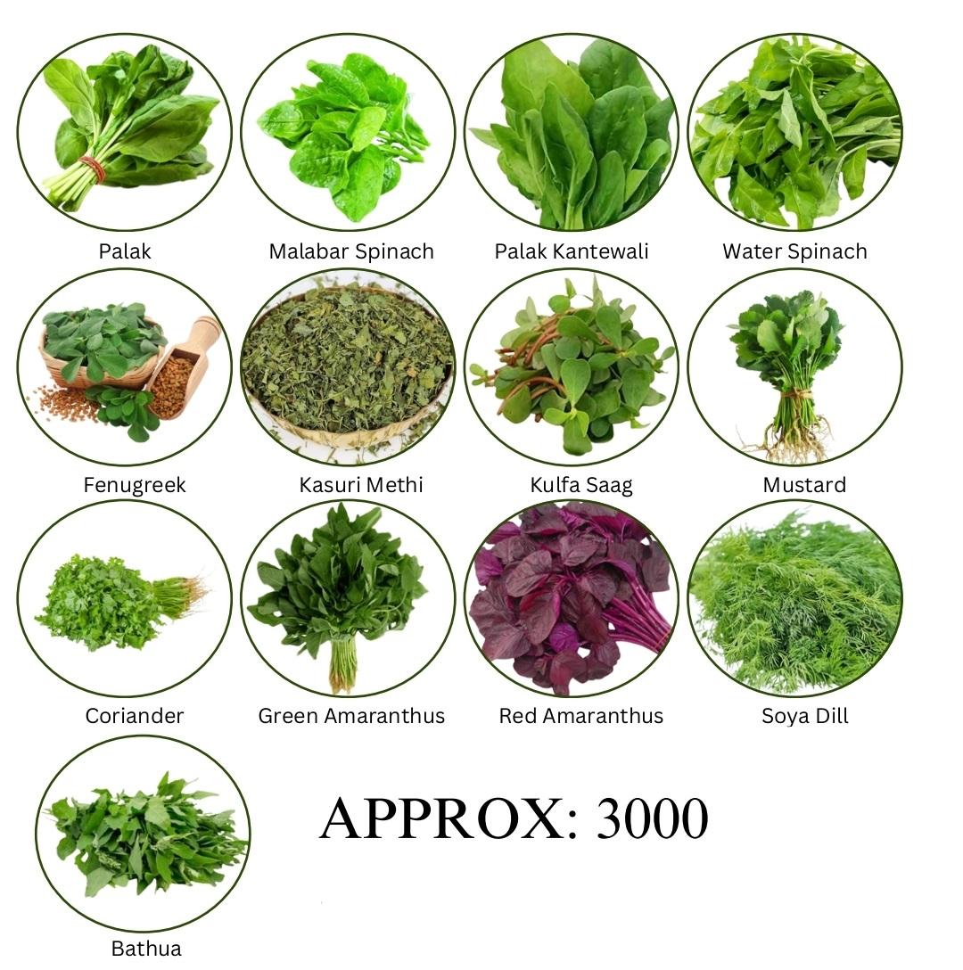 Leafy Vegetable Seeds Combo Pack, 13 Varieties for Kitchen Garden