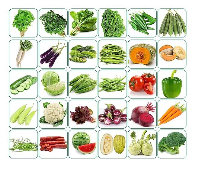 SK ORGANIC 30 Varieties of Vegetable and microgreen seeds Non GMO organic seeds of Garden and field plantation