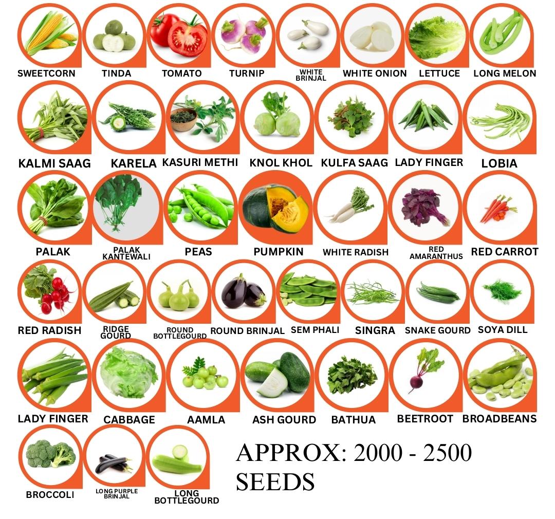 40 Vegetable Seeds Combo Non-GMO, 2000-2500 Seeds for Kitchen Garden