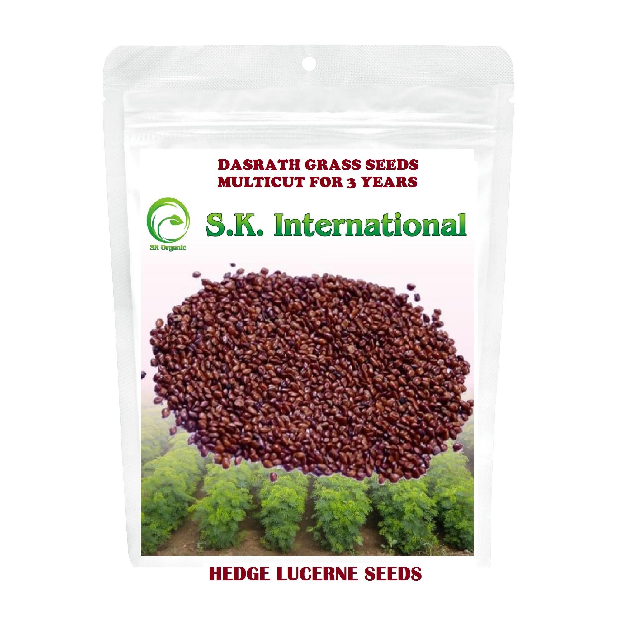 SK ORGANIC Dasrath Grass Seeds ( Hedge Lurcerne Seeds) for 3 years multicut
