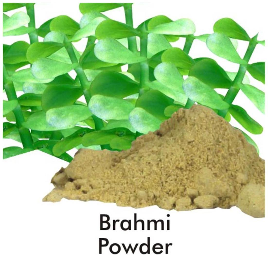 SK ORGANIC Brahmi powder  Herb For Brain development And Mind Wellness