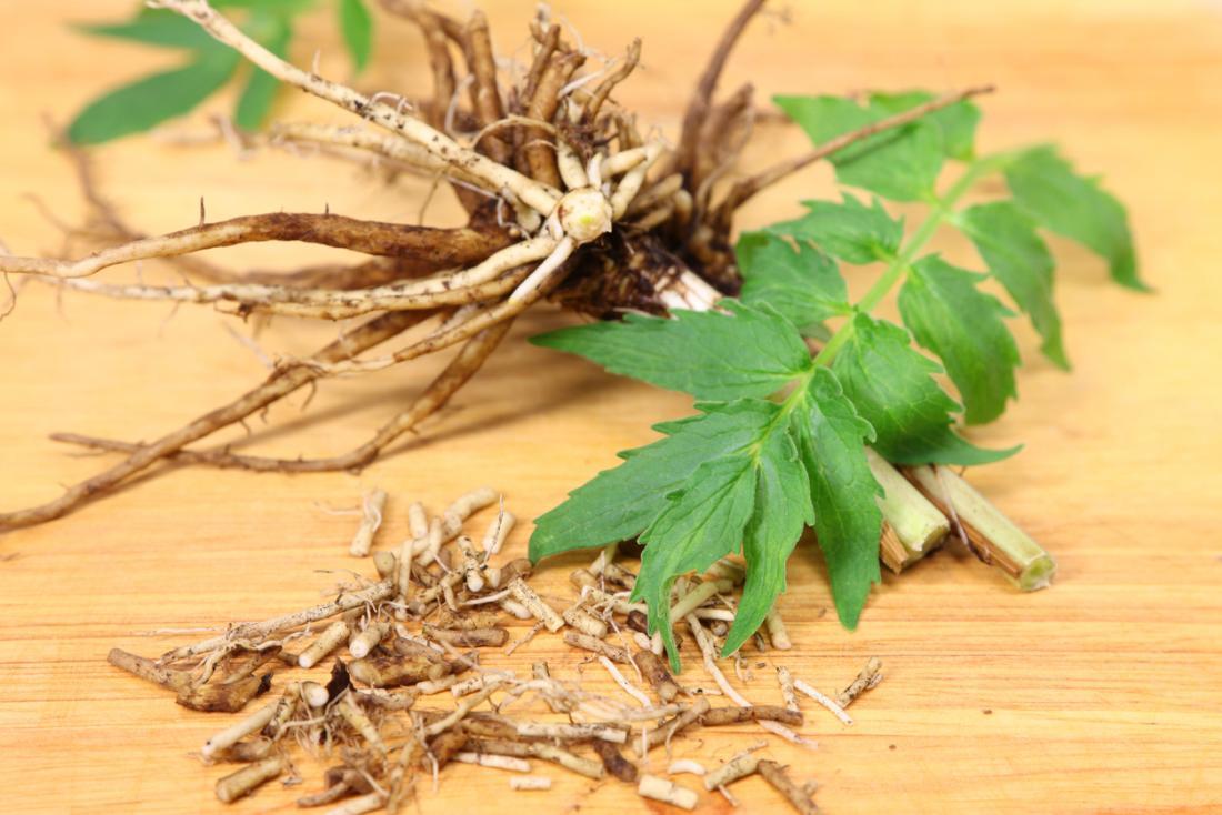 sk organic shatavari powder Churn Herb For health and wellness