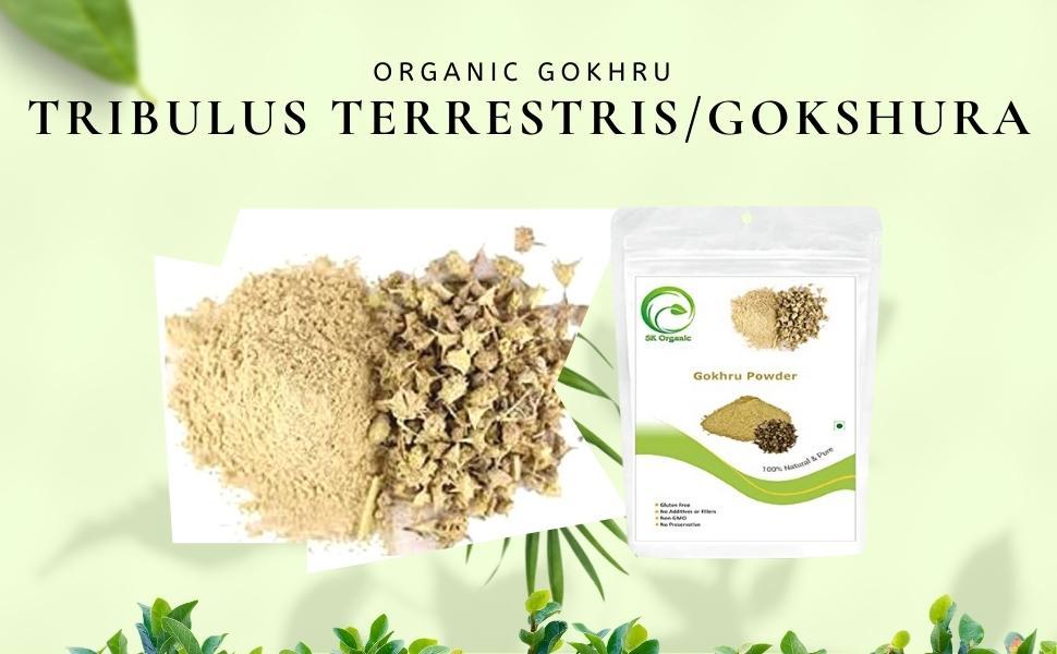 SK ORGANIC Gokhru powder (Tribulus Terrestris/Gokshura) for healthy kidneys